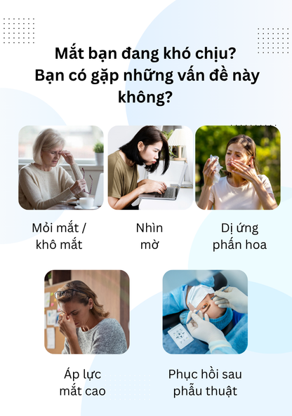 Miếng Dán Mắt Thư Giãn Wise Quest